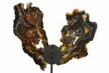 Agate Butterfly Wings - Brazil #322220-1